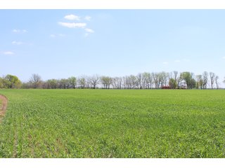 Property photo 20 - OKLAHOMA LAND AUCTION, 550+/- Acres offered in 7 Tracts
